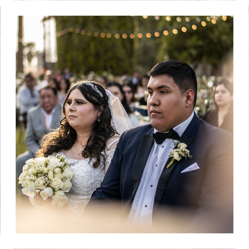 fotografo profesional de bodas